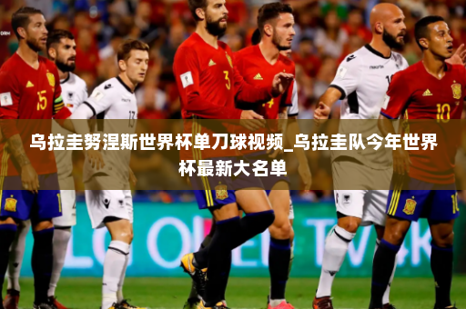 乌拉圭努涅斯世界杯单刀球视频_乌拉圭队今年世界杯最新大名单