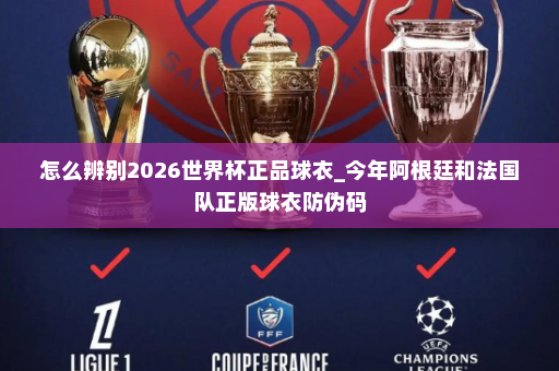 怎么辨别2026世界杯正品球衣_今年阿根廷和法国队正版球衣防伪码