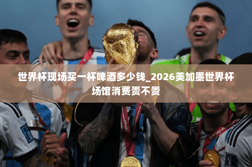 世界杯现场买一杯啤酒多少钱_2026美加墨世界杯场馆消费贵不贵