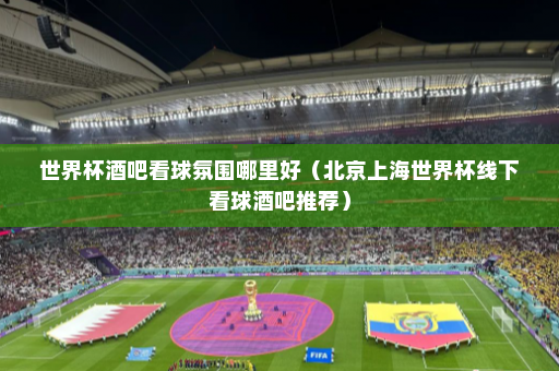 世界杯酒吧看球氛围哪里好（北京上海世界杯线下看球酒吧推荐）