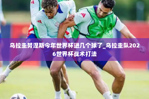 乌拉圭努涅斯今年世界杯进几个球了_乌拉圭队2026世界杯战术打法