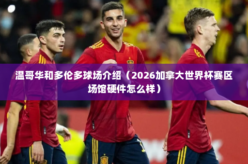 温哥华和多伦多球场介绍（2026加拿大世界杯赛区场馆硬件怎么样）