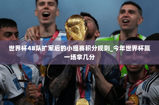 世界杯48队扩军后的小组赛积分规则_今年世界杯赢一场拿几分