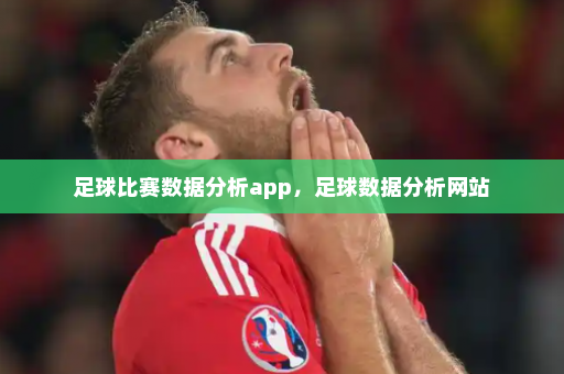 足球比赛数据分析app,足球数据分析网站