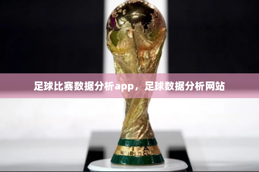 足球比赛数据分析app,足球数据分析网站