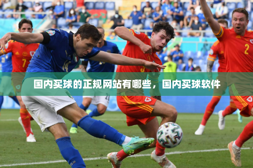 国内买球的正规网站有哪些，国内买球软件