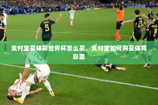 支付宝买体彩世界杯怎么买,支付宝如何购买体育彩票