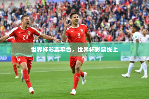 世界杯彩票平台,世界杯彩票线上