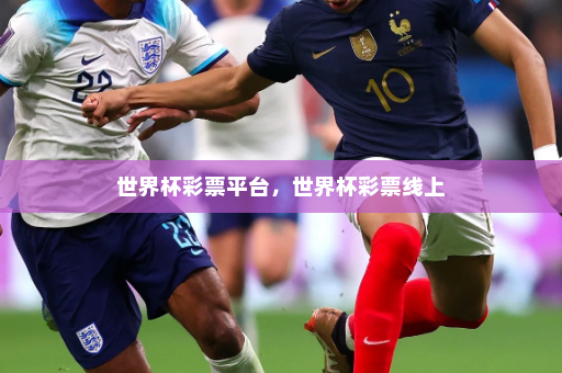 世界杯彩票平台，世界杯彩票线上