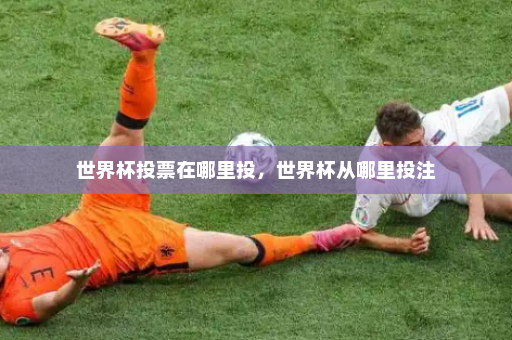 世界杯投票在哪里投，世界杯从哪里投注