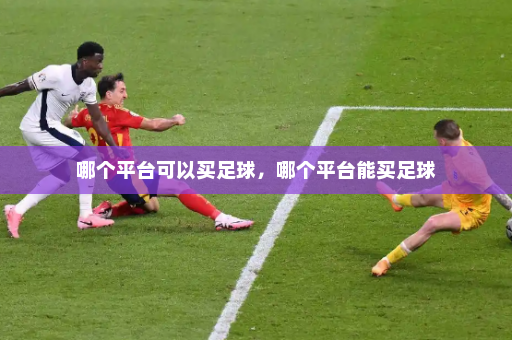 哪个平台可以买足球,哪个平台能买足球