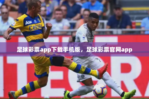 足球彩票app下载手机版,足球彩票官网app