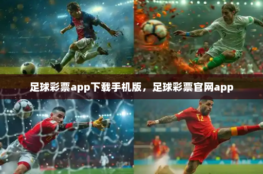 足球彩票app下载手机版,足球彩票官网app