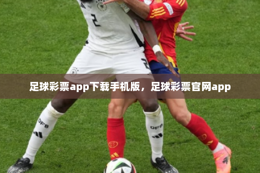 足球彩票app下载手机版,足球彩票官网app