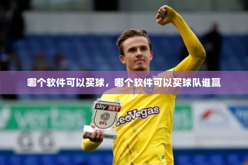 哪个软件可以买球,哪个软件可以买球队谁赢