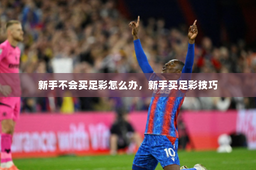 新手不会买足彩怎么办,新手买足彩技巧
