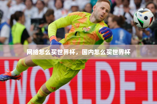 网络怎么买世界杯,国内怎么买世界杯