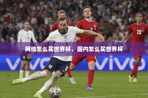 网络怎么买世界杯，国内怎么买世界杯
