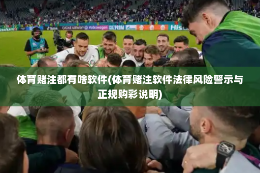 体育赌注都有啥软件(体育赌注软件法律风险警示与正规购彩说明)
