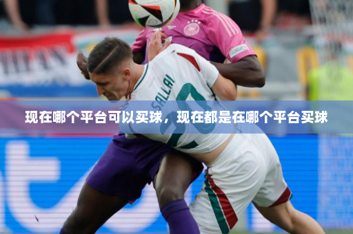 现在哪个平台可以买球，现在都是在哪个平台买球