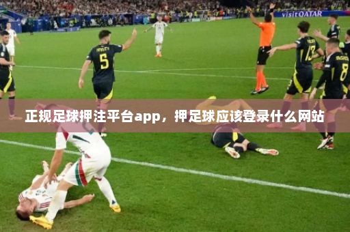 正规足球押注平台app，押足球应该登录什么网站
