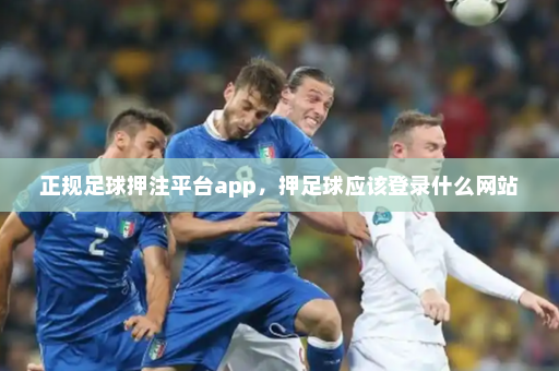 正规足球押注平台app，押足球应该登录什么网站