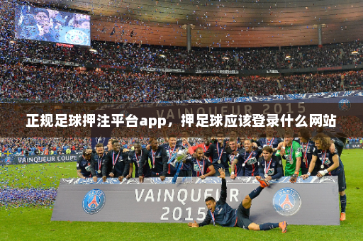 正规足球押注平台app，押足球应该登录什么网站