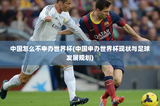 中国怎么不申办世界杯(中国申办世界杯现状与足球发展规划)