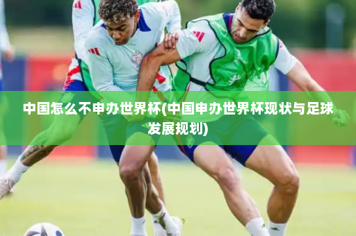 中国怎么不申办世界杯(中国申办世界杯现状与足球发展规划)