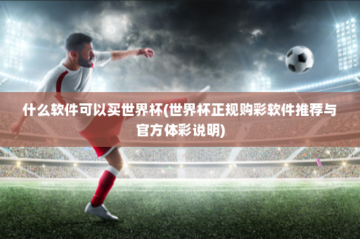 什么软件可以买世界杯(世界杯正规购彩软件推荐与官方体彩说明)