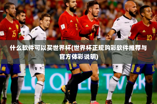 什么软件可以买世界杯(世界杯正规购彩软件推荐与官方体彩说明)
