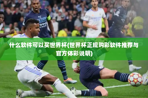 什么软件可以买世界杯(世界杯正规购彩软件推荐与官方体彩说明)