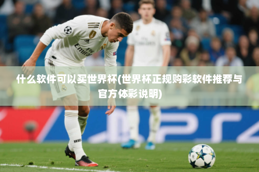 什么软件可以买世界杯(世界杯正规购彩软件推荐与官方体彩说明)