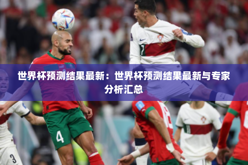 世界杯预测结果最新:世界杯预测结果最新与专家分析汇总