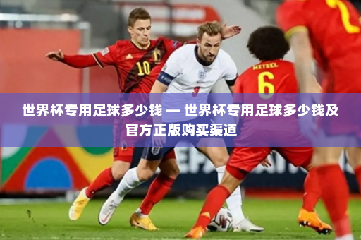 世界杯专用足球多少钱 — 世界杯专用足球多少钱及官方正版购买渠道
