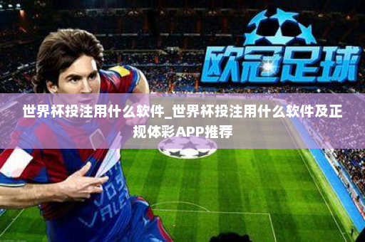 世界杯投注用什么软件_世界杯投注用什么软件及正规体彩APP推荐