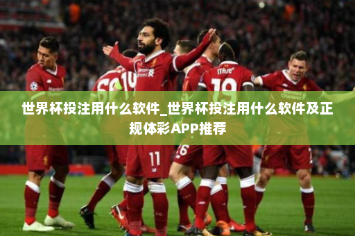 世界杯投注用什么软件_世界杯投注用什么软件及正规体彩APP推荐