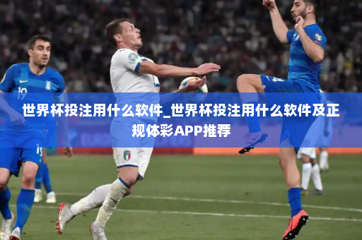 世界杯投注用什么软件_世界杯投注用什么软件及正规体彩APP推荐