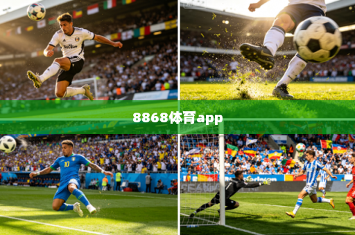 8868体育app