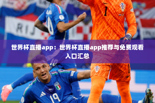 世界杯直播app:世界杯直播app推荐与免费观看入口汇总