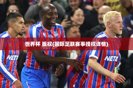 世界杯 版权(国际足联赛事授权详情)