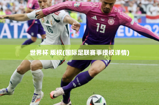 世界杯 版权(国际足联赛事授权详情)