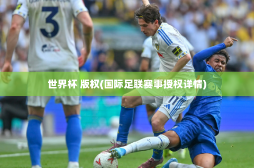 世界杯 版权(国际足联赛事授权详情)