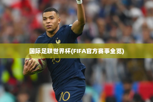国际足联世界杯(FIFA官方赛事全览)