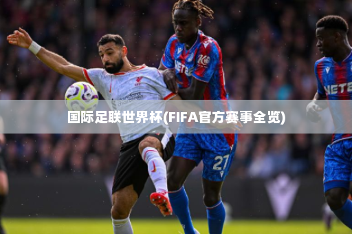 国际足联世界杯(FIFA官方赛事全览)