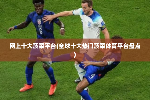 网上十大菠菜平台(全球十大热门菠菜体育平台盘点)