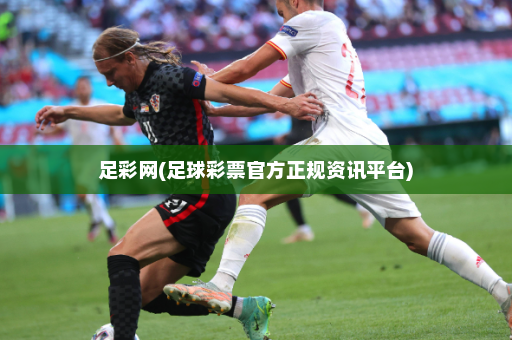 足彩网(足球彩票官方正规资讯平台)