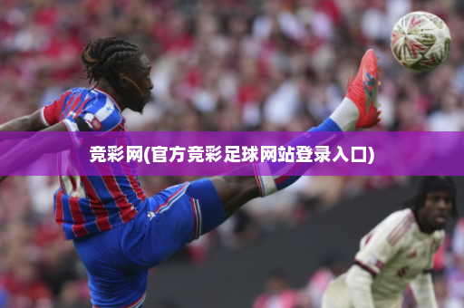 竞彩网(官方竞彩足球网站登录入口)