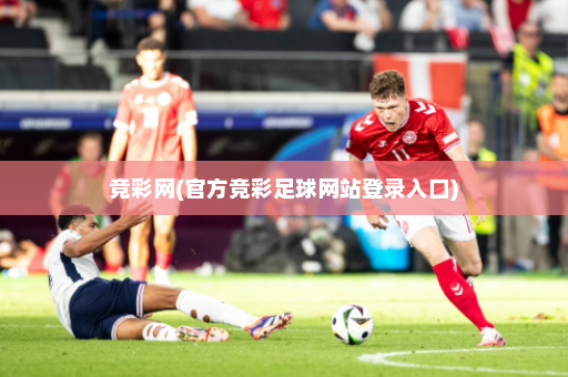 竞彩网(官方竞彩足球网站登录入口)
