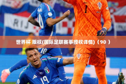 世界杯 版权(国际足联赛事授权详情)(90 )